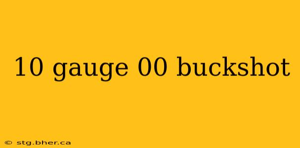 10 gauge 00 buckshot