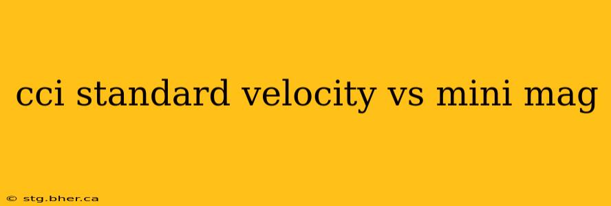 cci standard velocity vs mini mag